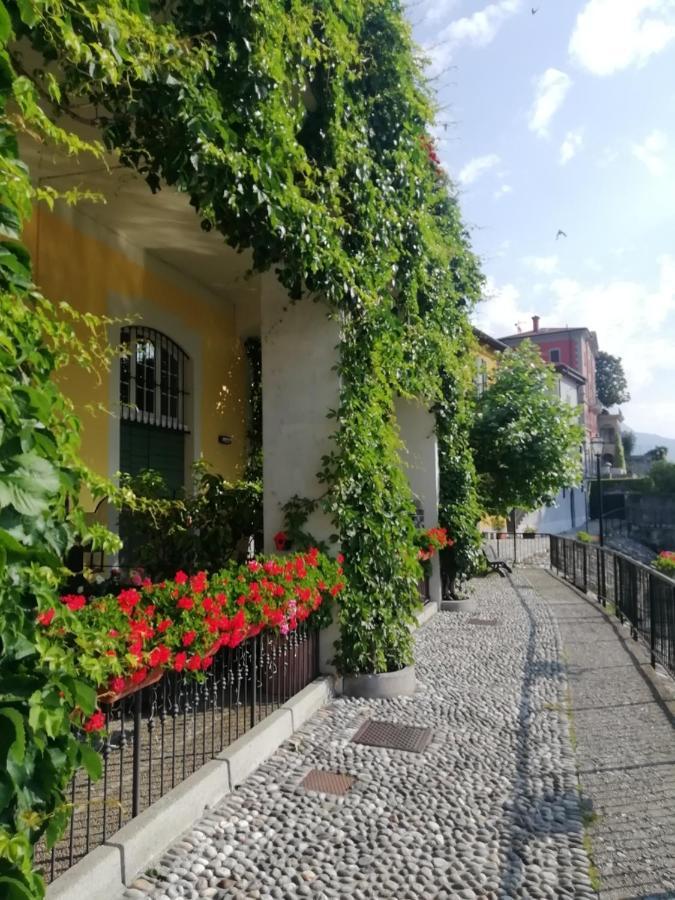 Viewtiful Homestay Stazzona Екстер'єр фото