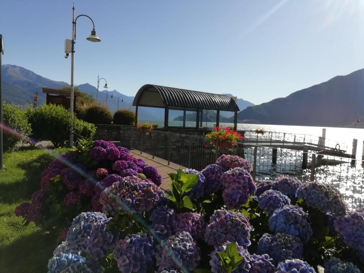 Viewtiful Homestay Stazzona Екстер'єр фото