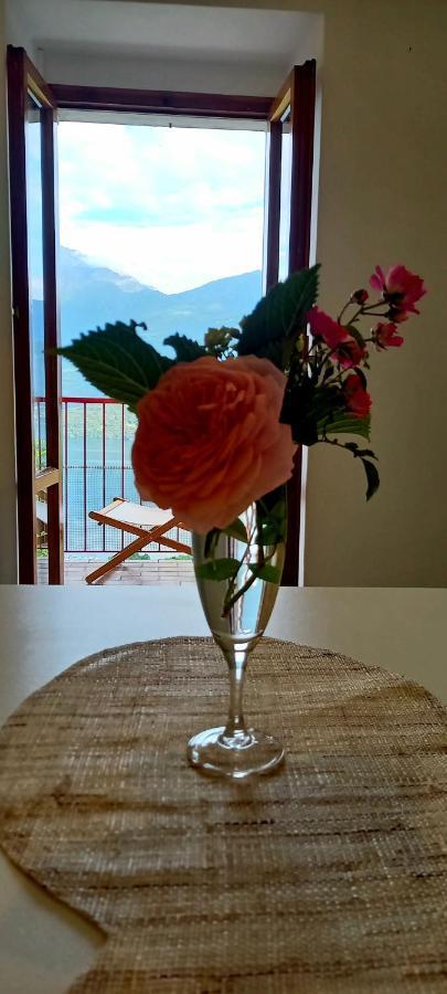 Viewtiful Homestay Stazzona Екстер'єр фото